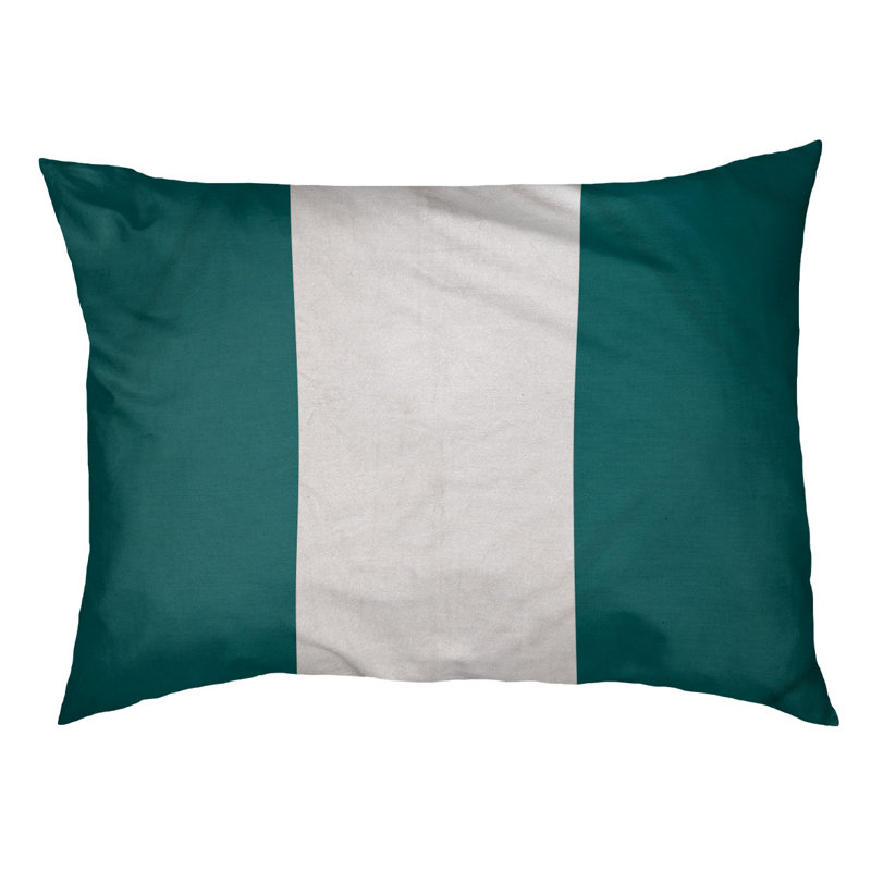 Coussin Miami, Très grand (l 50 po x P 40 po x H 7 po), Aqua / Blanc