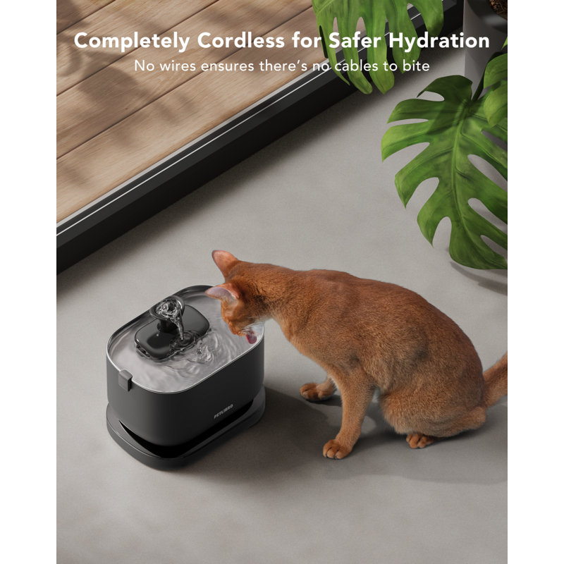 Dockstream Battery Operated Cat Water Fountain+ 1 Replacement Wireless Pump, Black