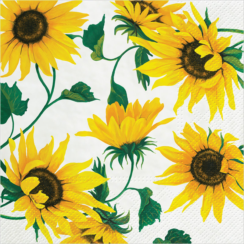 Serviettes jetables en papier