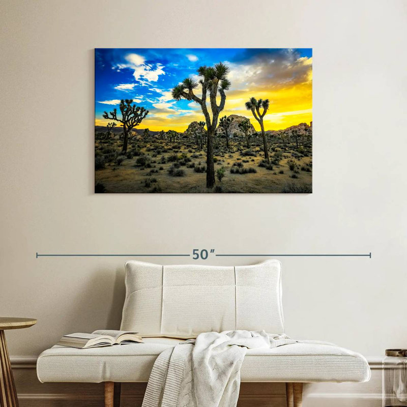 Nicci Joshua Tree Park, H 26 po x l 39 po