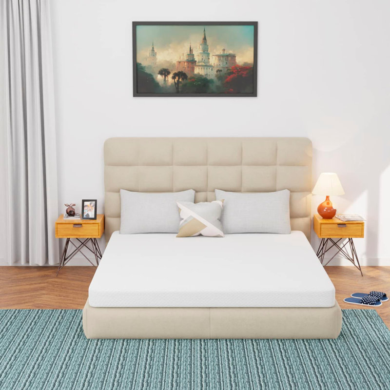 Matelas en mousse viscoélastique pelucheuse 5 po Alwyn Home Orderville, Grand