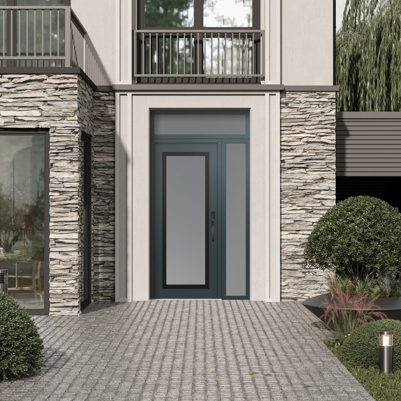 Panneau d'entrée en acier noir anthracite / anthracite avec panneau latéral et porte d'entrée pré-montée Transom, Gelé
