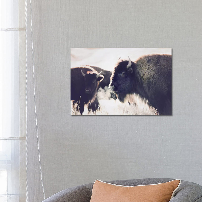 Buffalo by Sisi & Seb - Wrapped Canvas Print, 66.04 cm H x 45.72 cm W x 3.175 cm D