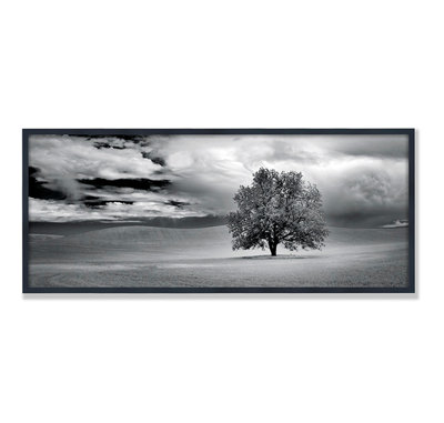 Lone Tree And Clouds In Wheat Field Print by PhotoDF