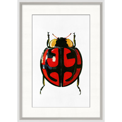 Rainbow Insect 4 Framed