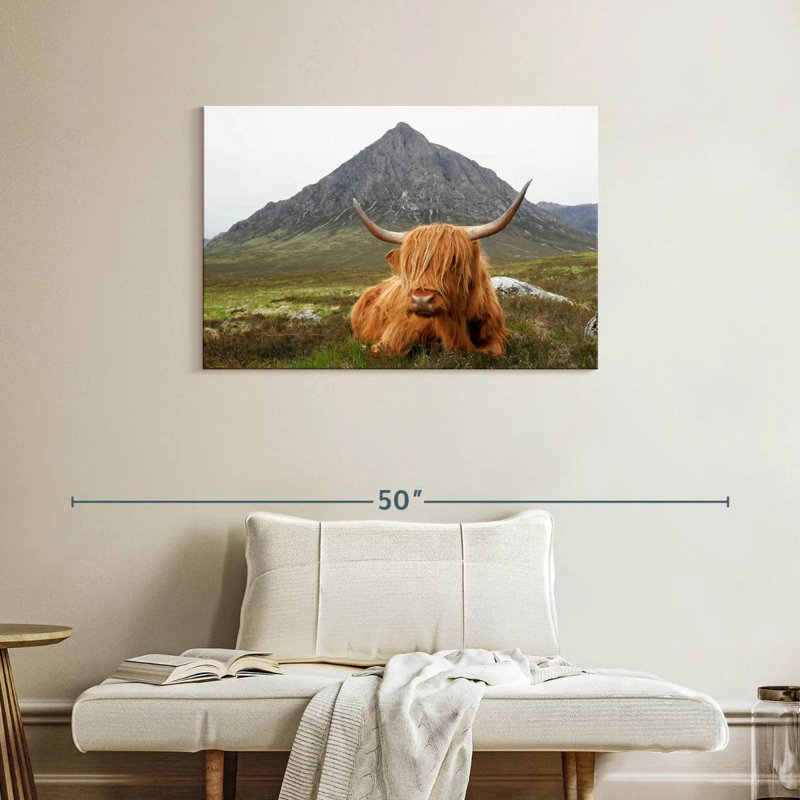 Vache sereine Brampt Highland, H 24 po x l 36 po