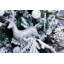Ivalee Christmas Decorative Accent-151417054