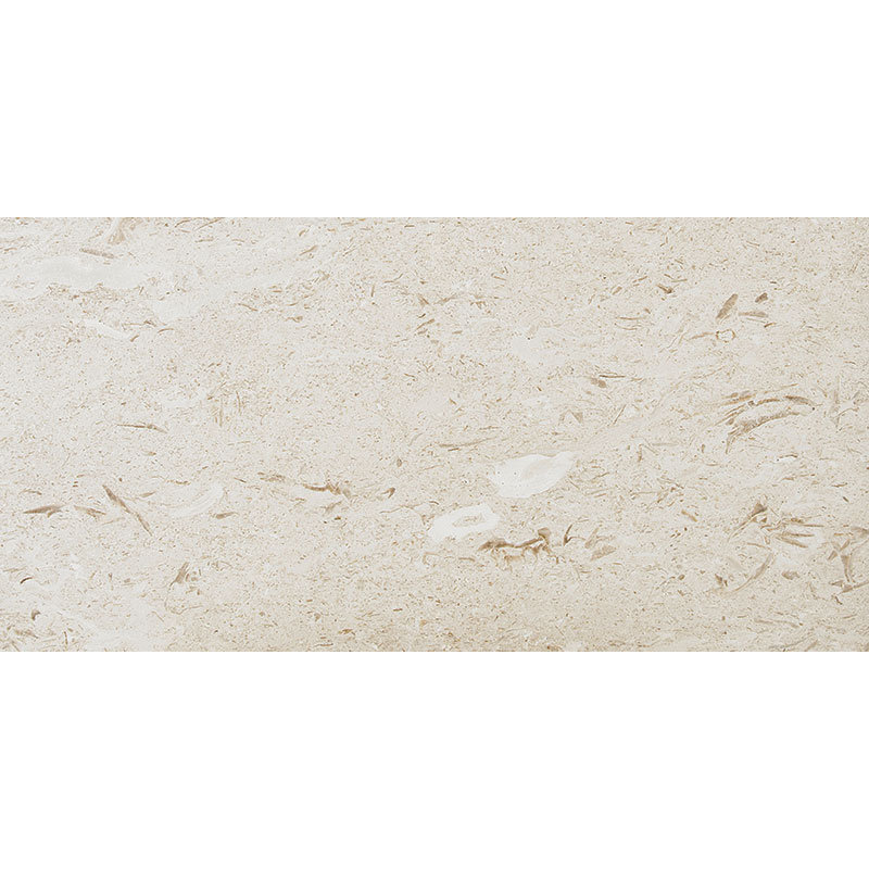 12" x 24" Field Tile in Fossil Stone Tumbled