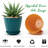 6 inch Plant Pots 5 Pack-846098984