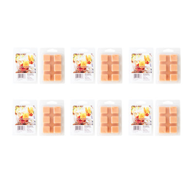 Coffret de 6 thés parfumés à la cire parfumée Haight de Haight - ensemble de 6