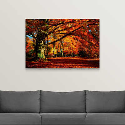 « the tree », reproduction de photo sur toile