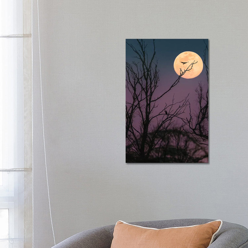 Moon Night par Nir - Photographie sur toile tendue, H 26 po x l 18 po x 1,5 po