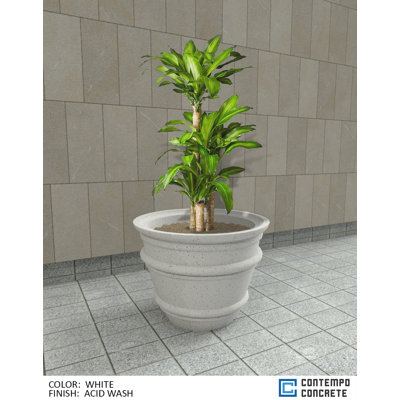 Mela Planter