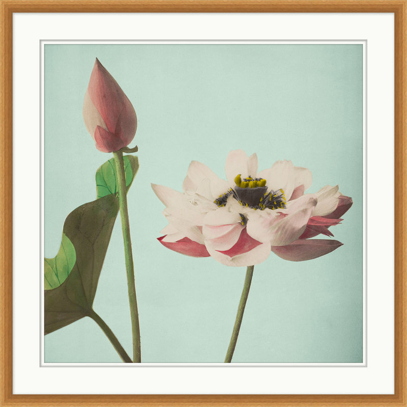Floral rose sur turquoise 3 - Peinture avec cadre photo