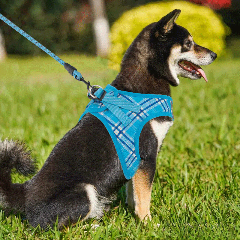 Harnais réglable pour chien avec laisse Gesemyer, Bleu ciel
