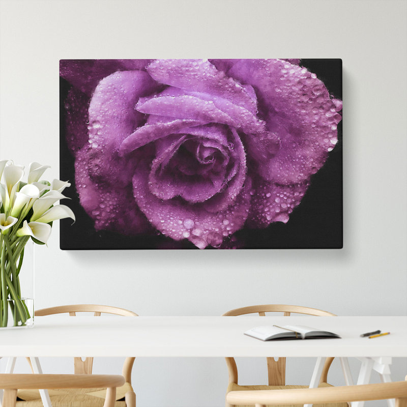 Purple Rose Flower Vol.1 - Wrapped Canvas, 35cm H x 50cm W x 3cm D