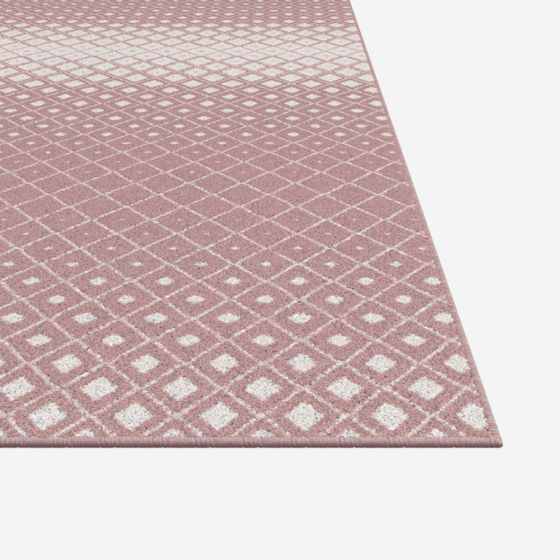 Evalei Viscose Rug