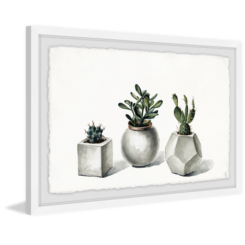 Planted Cacti - Single Picture Frame Painting, 41 cm H x 61 cm W x 3.81 cm D