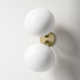 Alex 2 Light Glass Dimmable Armed Sconce