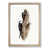 Oak Framed selected
