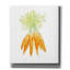  «Garden Delight V3» par Emily Adams, art mural sur toile, 26 po x 30 po