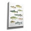 «Fresh Catch 5» par James Wiens, art mural sur toile-316863626