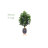 48'' Faux Ficus Tree in Clay Planter