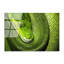Boze Wall Decor