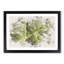 Paths of the Leaf - Framed Print-56851768-56851769