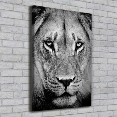 Portrait of a lion 1 Piece Wrapped Canvas Wall Art