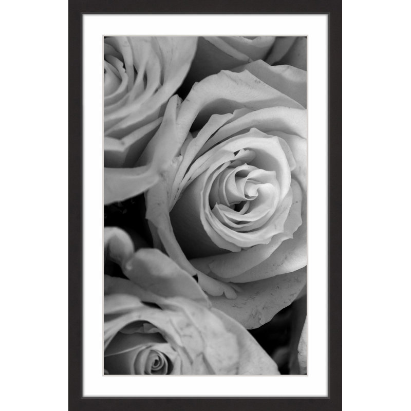 Judy Stalus - Single Picture Frame Print, 91cm H x 61cm W x 3.81cm D
