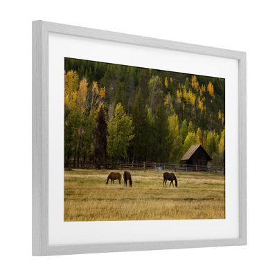 Horses In Jackson Hole Framed Print Under Glass, design by Scott Stulberg