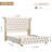 Ellaville Bed Frame Tall Wingback Headboard Velvet Upholstered Deep Button Tufted Platform Bed with LED Wall Washer Lighting-9274089-9274092
