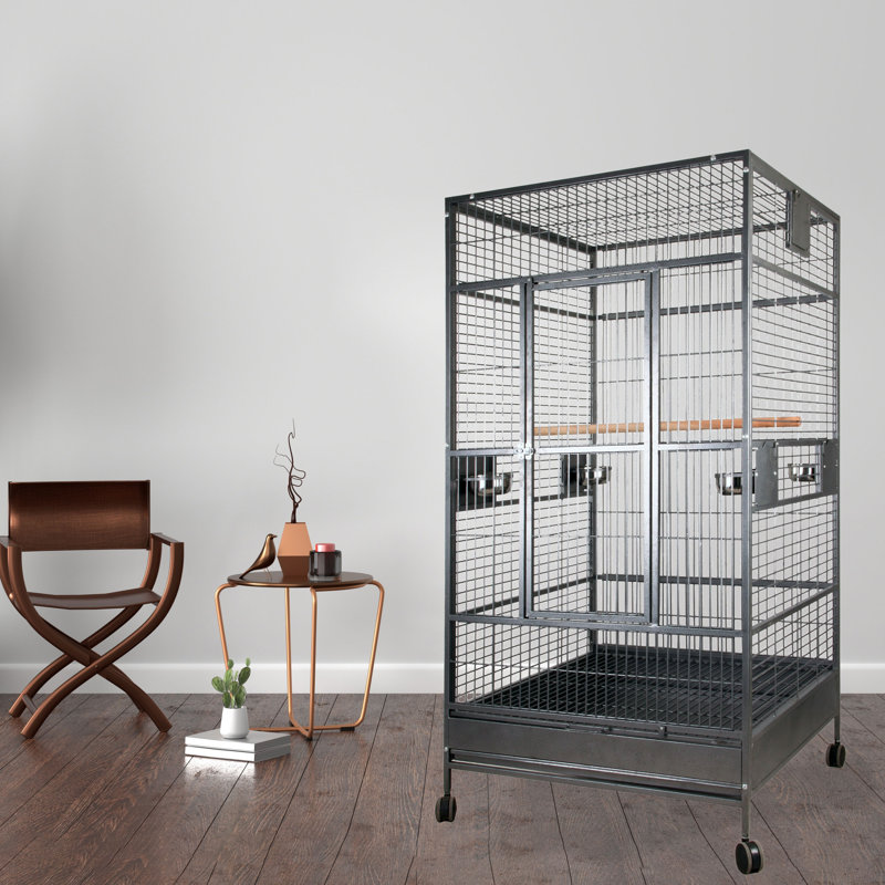Cage à araignée noire 40 "x 40" par A&E, Noir, noir, noir, noir