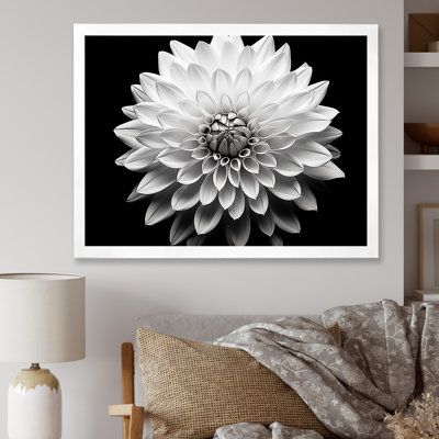 Dahlia en noir et blanc - impressions encadrées