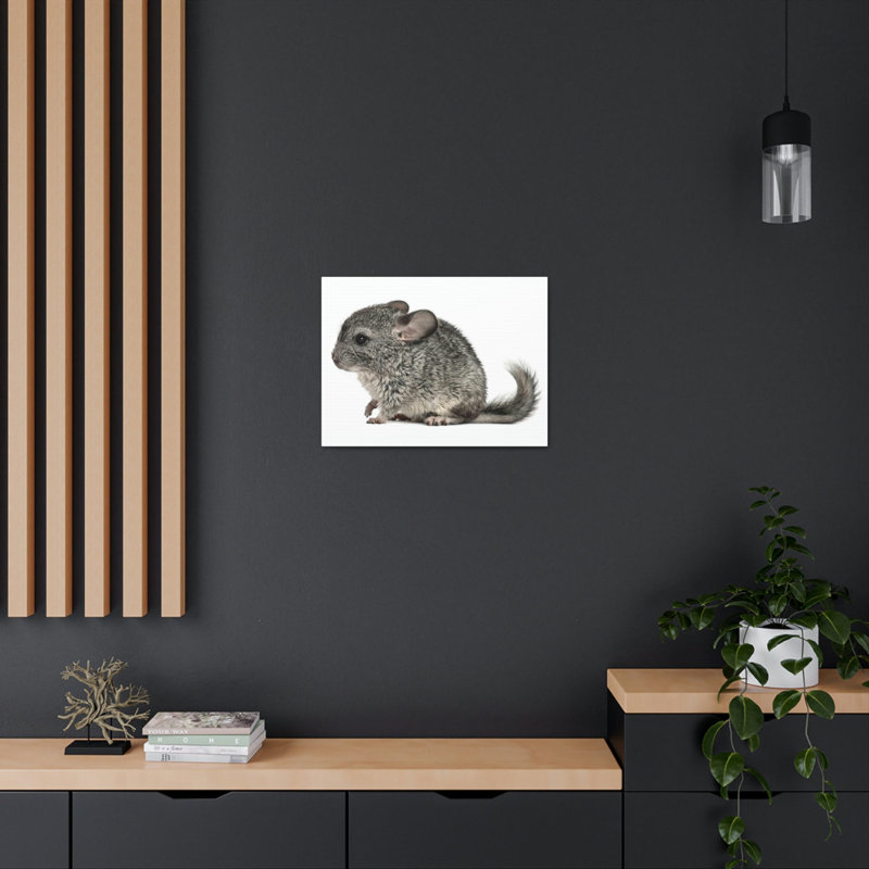 Art mural majestueux Chinchilla, H 18 po x l 24 po