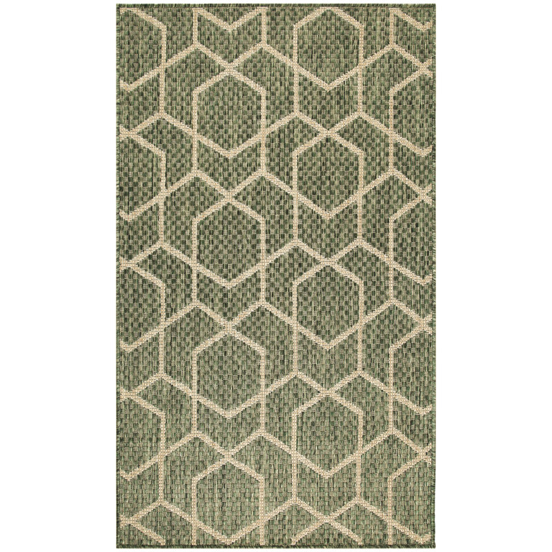 Reidy Modern Indoor/Outdoor Rug, Rectangle 3' x 5', Green