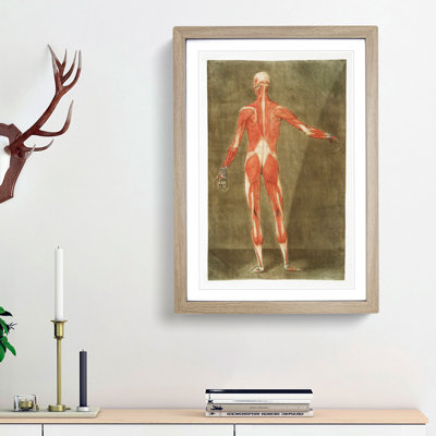 Anatomical Illustration of a Male No. 5 by Gautier-Dagoty - Picture Frame Painting Print