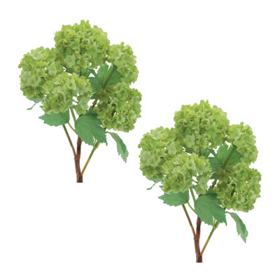 Vaporisateur d'hortensia floral