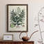 " Collected Ferns VII " Painting Print-356897288-356897294