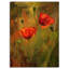 «Poppy Flowers», peinture-2068160479-2068160478