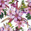 Brenesha 2.5m x 2.5m Matte Mural-1816289570