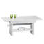 Snediker Lift Top Trestle Coffee Table