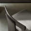 Olly Chair - Boxed Set Of 2