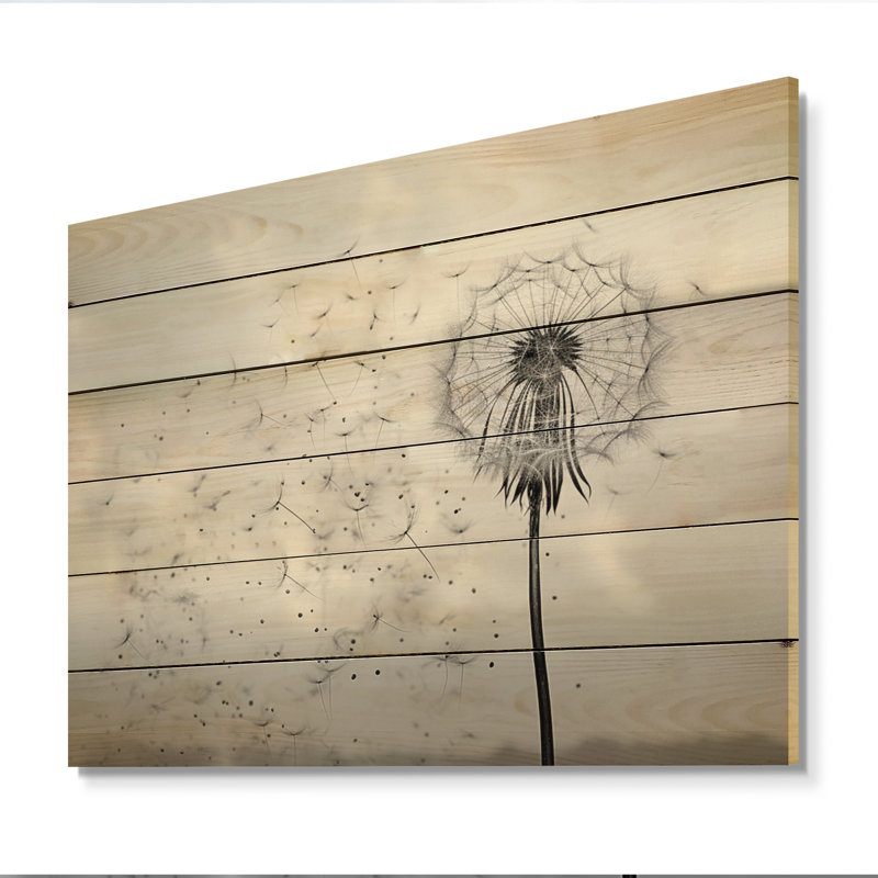 Minimalims Dandelion Natures Fragility II Print on Natural Wood, 24" H x 32" W x 0.78" D