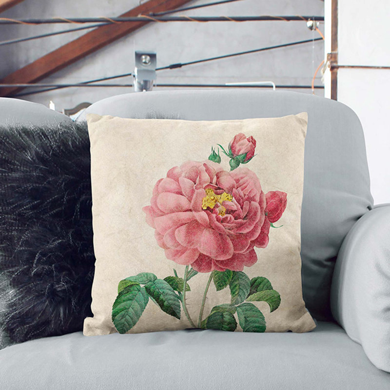 Blush Cabbage Rose by Pierre-Joseph Redoute Cushion with Filling, 55cm H x 55cm W x 20cm D, Stone