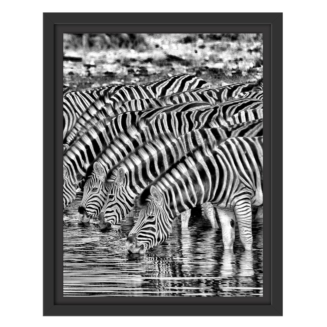 Gerahmtes Wandbild Safari mit Zebras in Afrika