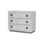 Console Anpu