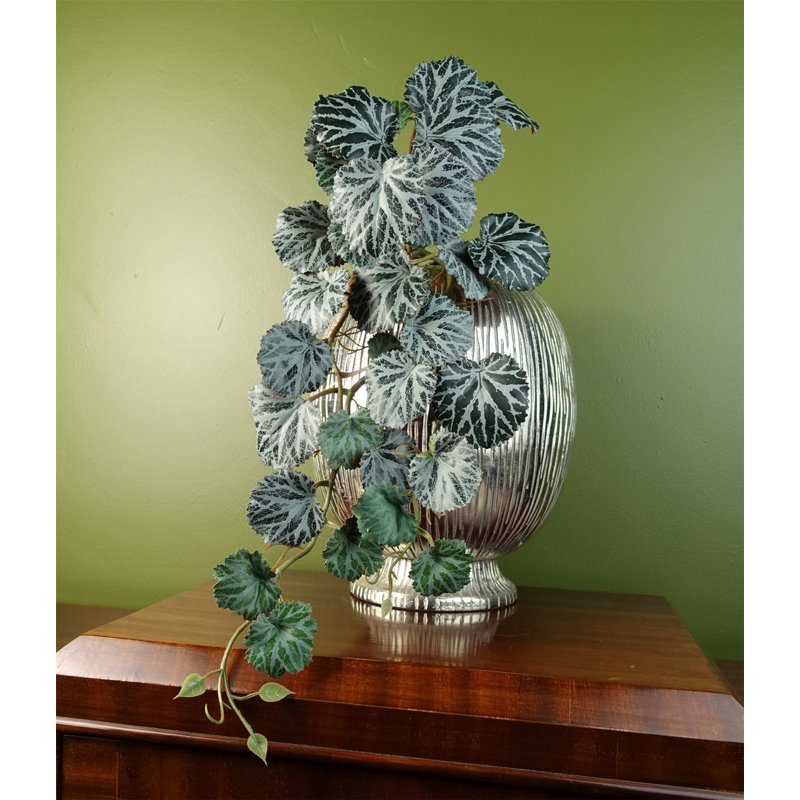 50cm Fern Plant