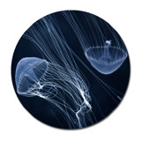 Jelly Fish Parade Three Print